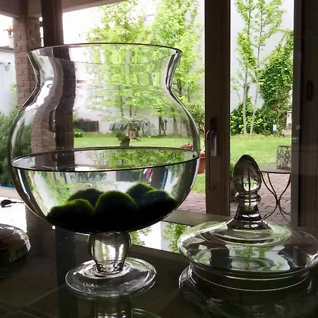 Abitare Al 42 * Ravenna